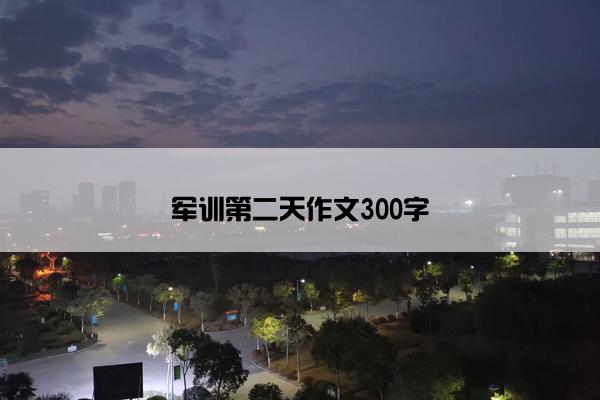 军训第二天作文300字