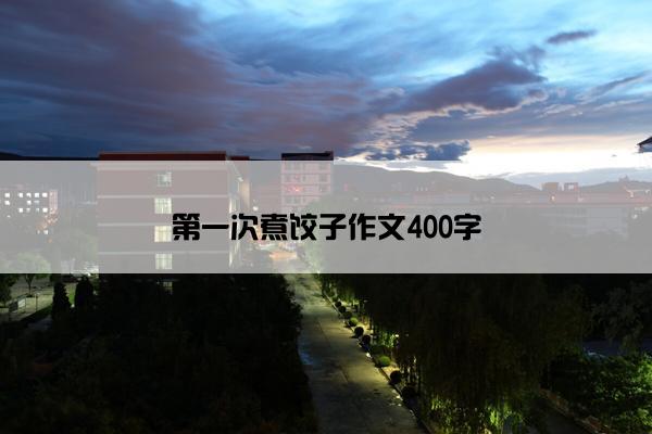 第一次煮饺子作文400字