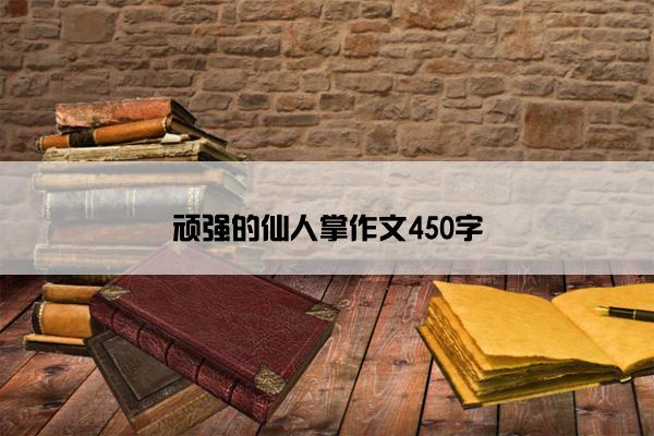 顽强的仙人掌作文450字