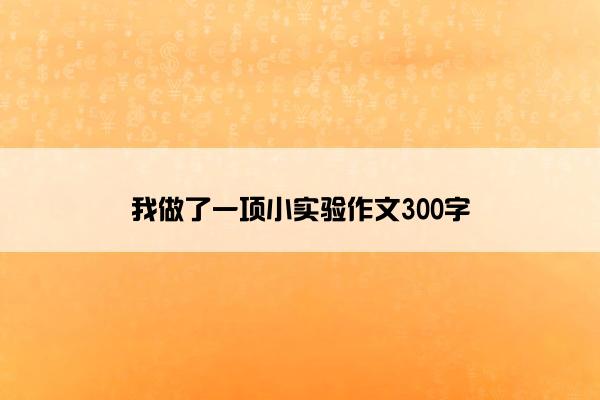 我做了一项小实验作文300字