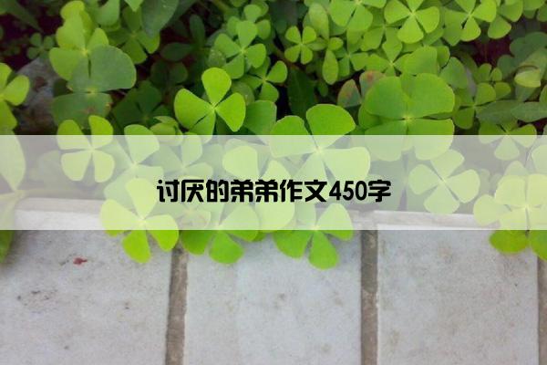 讨厌的弟弟作文450字