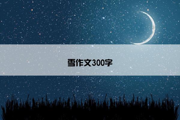 雪作文300字