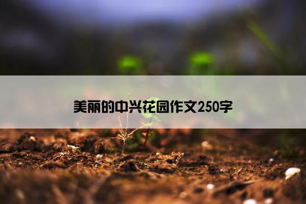 美丽的中兴花园作文250字