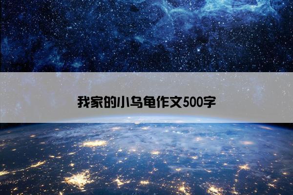 我家的小乌龟作文500字