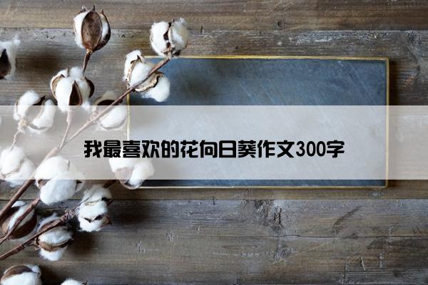 我最喜欢的花向日葵作文300字