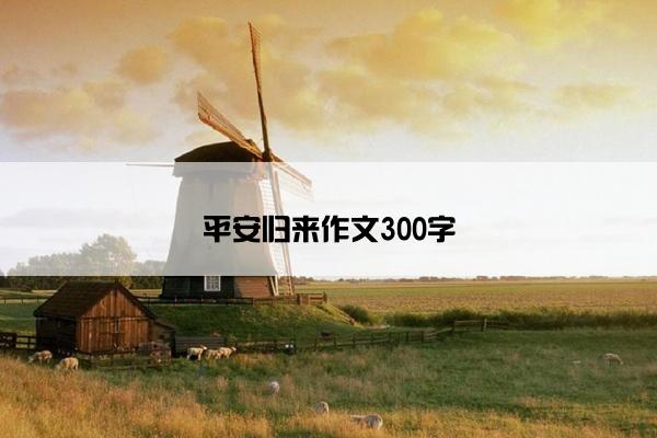 平安归来作文300字