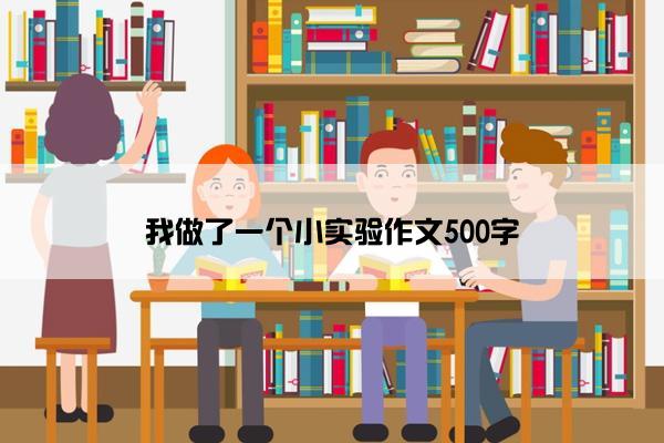 我做了一个小实验作文500字
