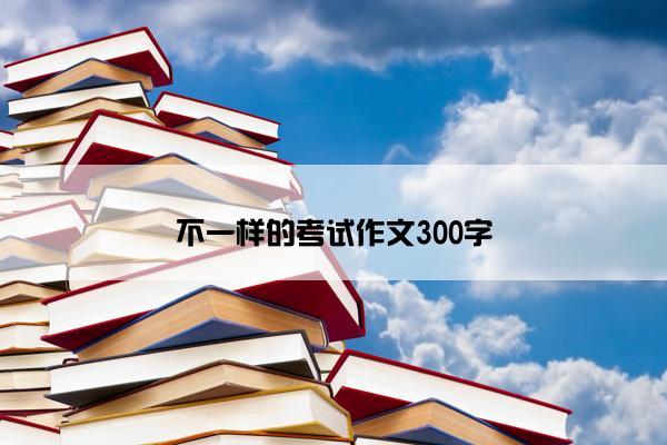 不一样的考试作文300字