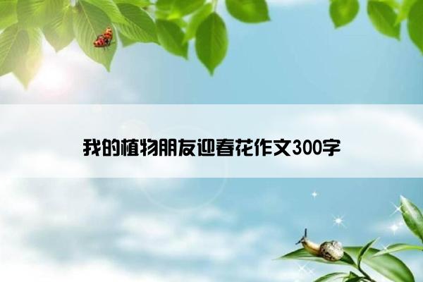 我的植物朋友迎春花作文300字