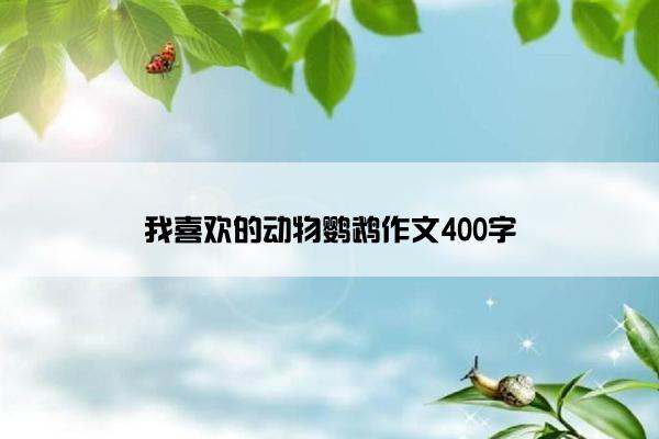 我喜欢的动物鹦鹉作文400字