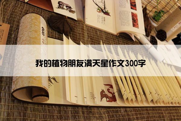 我的植物朋友满天星作文300字