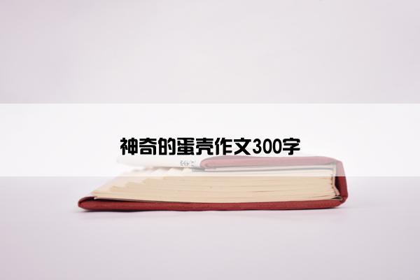 神奇的蛋壳作文300字