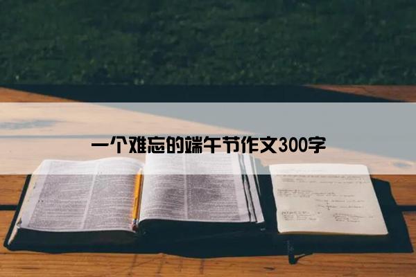 一个难忘的端午节作文300字