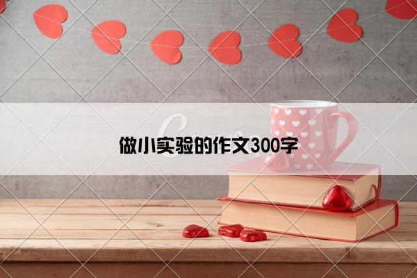 做小实验的作文300字