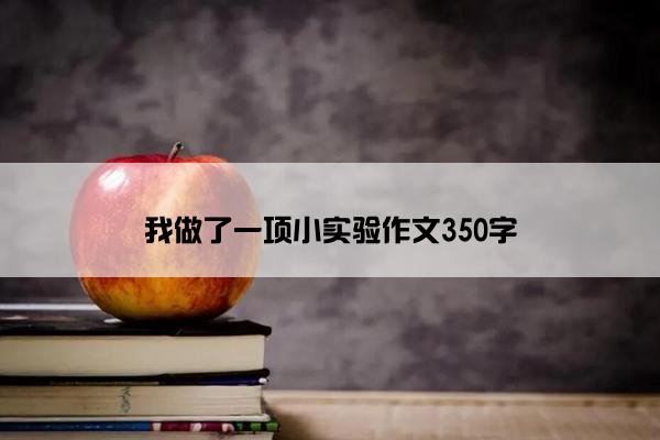 我做了一项小实验作文350字