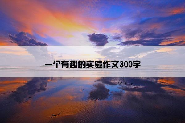 一个有趣的实验作文300字
