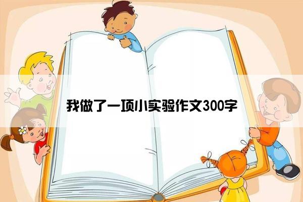 我做了一项小实验作文300字