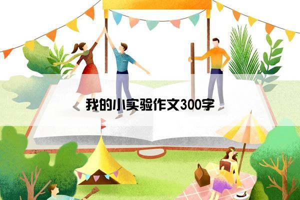 我的小实验作文300字
