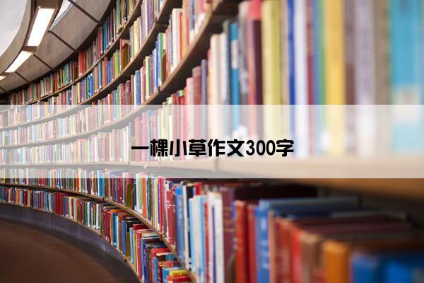 一棵小草作文300字