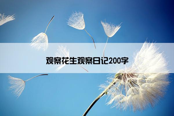 观察花生观察日记200字