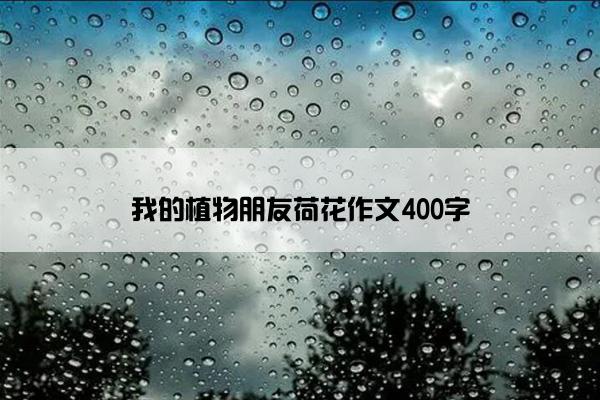 我的植物朋友荷花作文400字