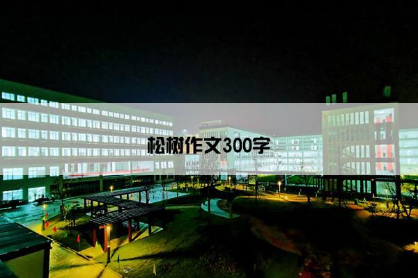 松树作文300字