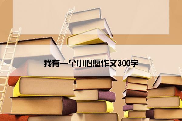 我有一个小心愿作文300字