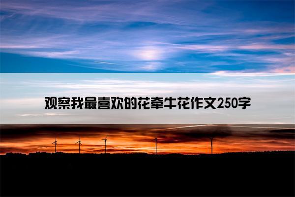 观察我最喜欢的花牵牛花作文250字