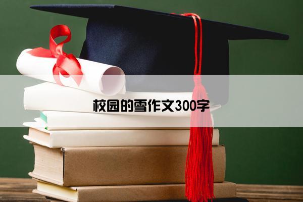 校园的雪作文300字