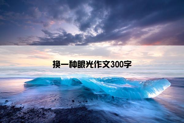 换一种眼光作文300字