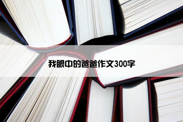 我眼中的爸爸作文300字