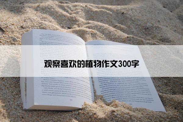 观察喜欢的植物作文300字
