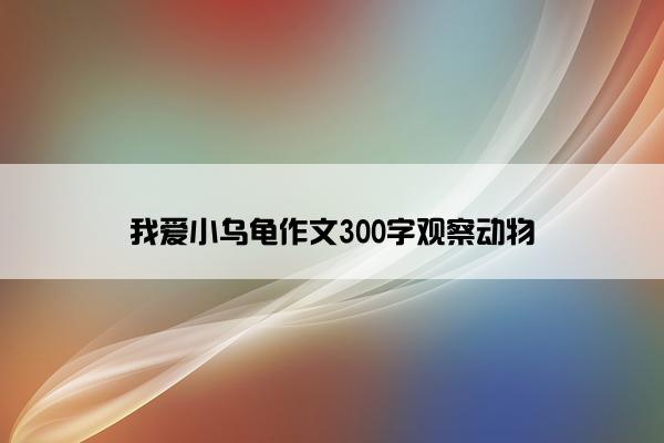 我爱小乌龟作文300字观察动物
