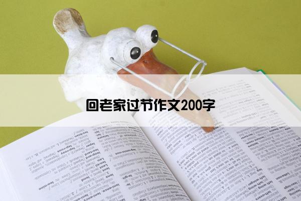 回老家过节作文200字