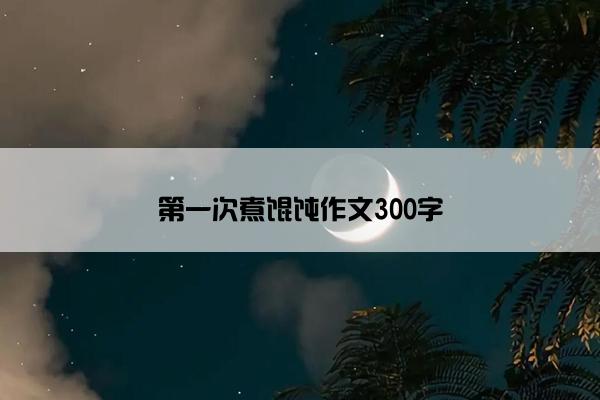 第一次煮馄饨作文300字
