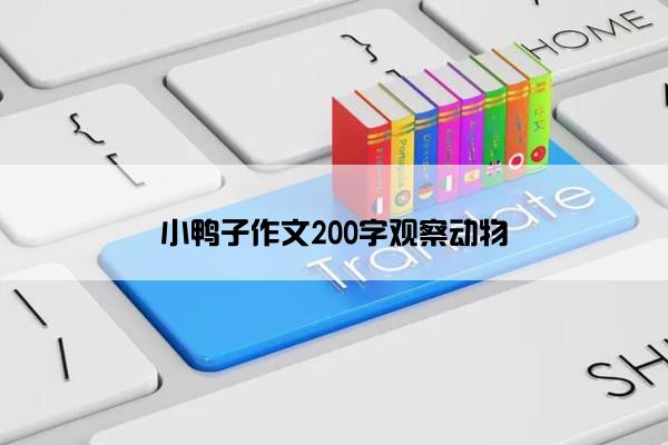 小鸭子作文200字观察动物