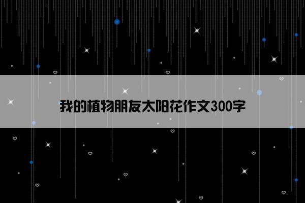 我的植物朋友太阳花作文300字