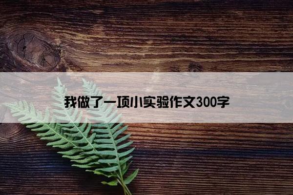 我做了一项小实验作文300字