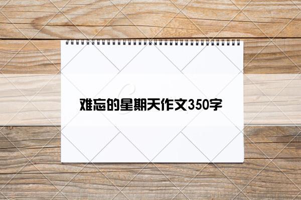 难忘的星期天作文350字
