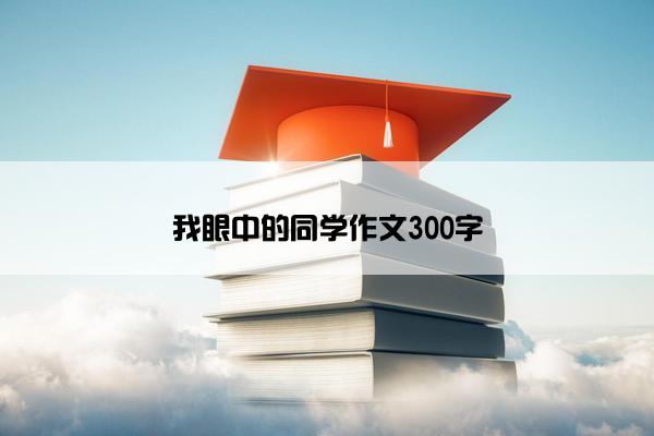 我眼中的同学作文300字