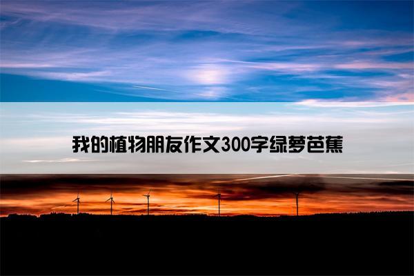 我的植物朋友作文300字绿萝芭蕉