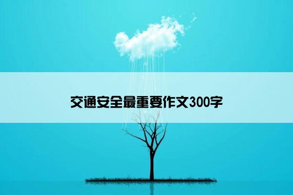交通安全最重要作文300字