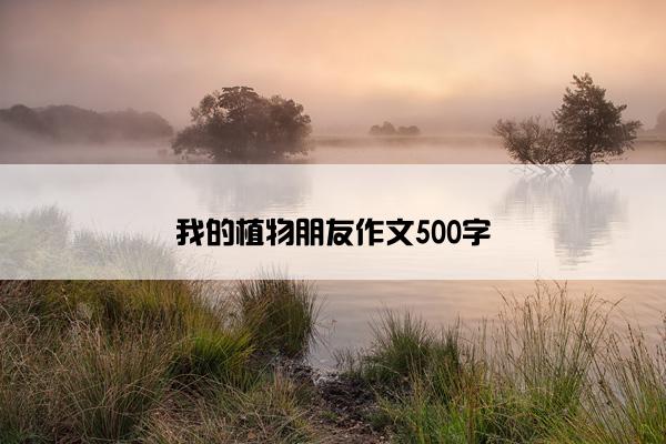 我的植物朋友作文500字
