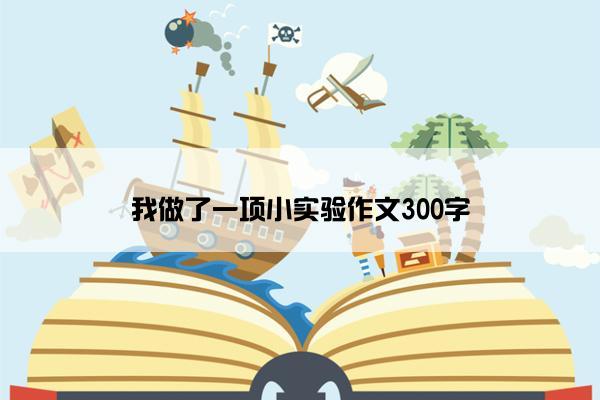 我做了一项小实验作文300字