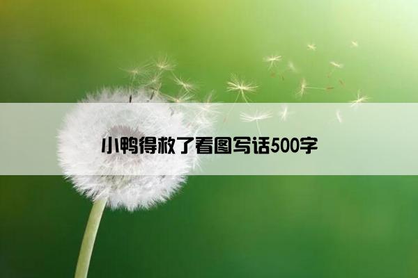小鸭得救了看图写话500字