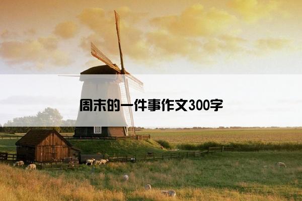 周末的一件事作文300字