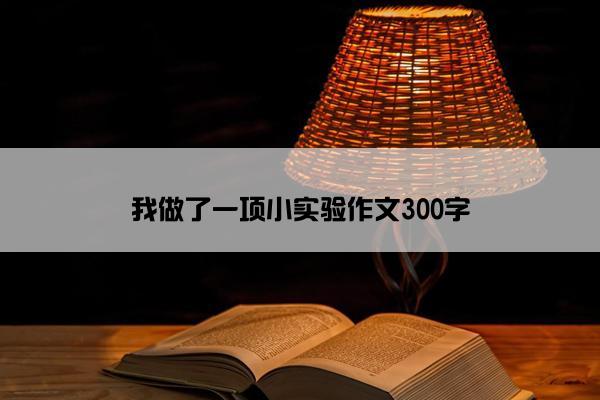 我做了一项小实验作文300字