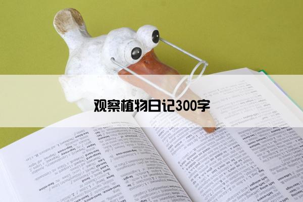 观察植物日记300字