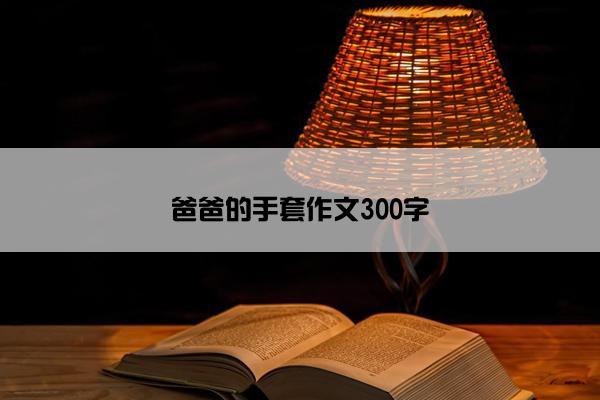 爸爸的手套作文300字