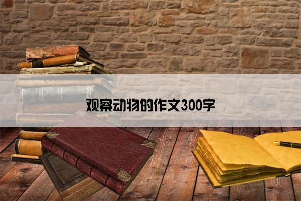 观察动物的作文300字